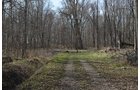 Property photo 110 - REAL ESTATE & PERSONAL PROPERTY AUCTION, 140 Acres offered in 8 Tracts or Combinations in Steuben County